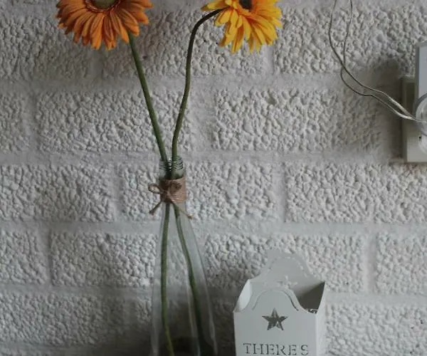 Rustige, Gelijkvloerse Vakantiewoning Met 2 Slaapkamers In Simpelveld, Zuid-limburg Simpelveld