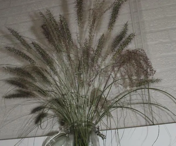 Rustige, Gelijkvloerse Vakantiewoning Met 2 Slaapkamers In Simpelveld, Zuid-limburg * Simpelveld